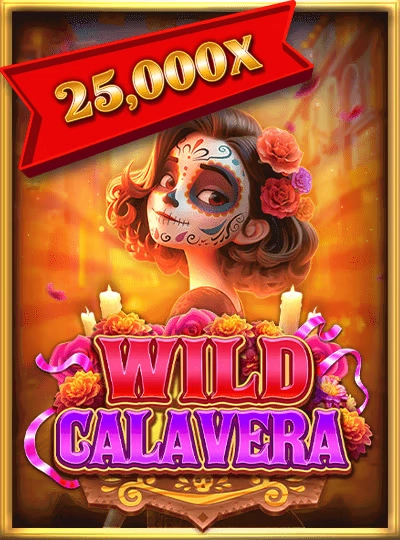 Crazy Time live show game cover